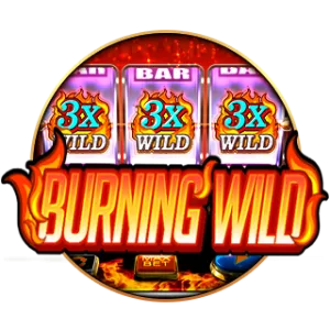 Burning Wild