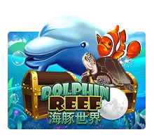 Dolphin Reef