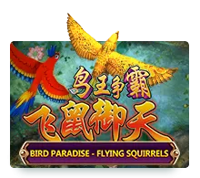 Bird Paradise